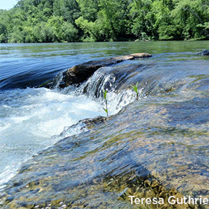 river 2 staunton brookneal virginia